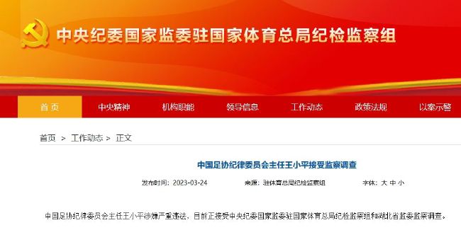 99久久精品国产网站