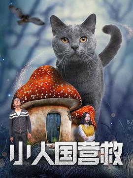 久久av高清