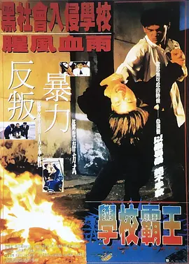 成人在线精品视频