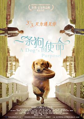 欧美婷婷色