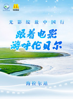 久久精品伊人网