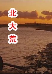 精品视频久久