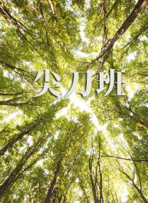 三黑