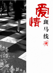 国产精品免费观看网站