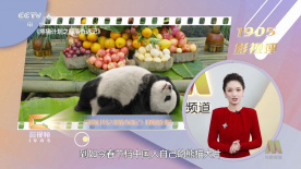www.伊人.com